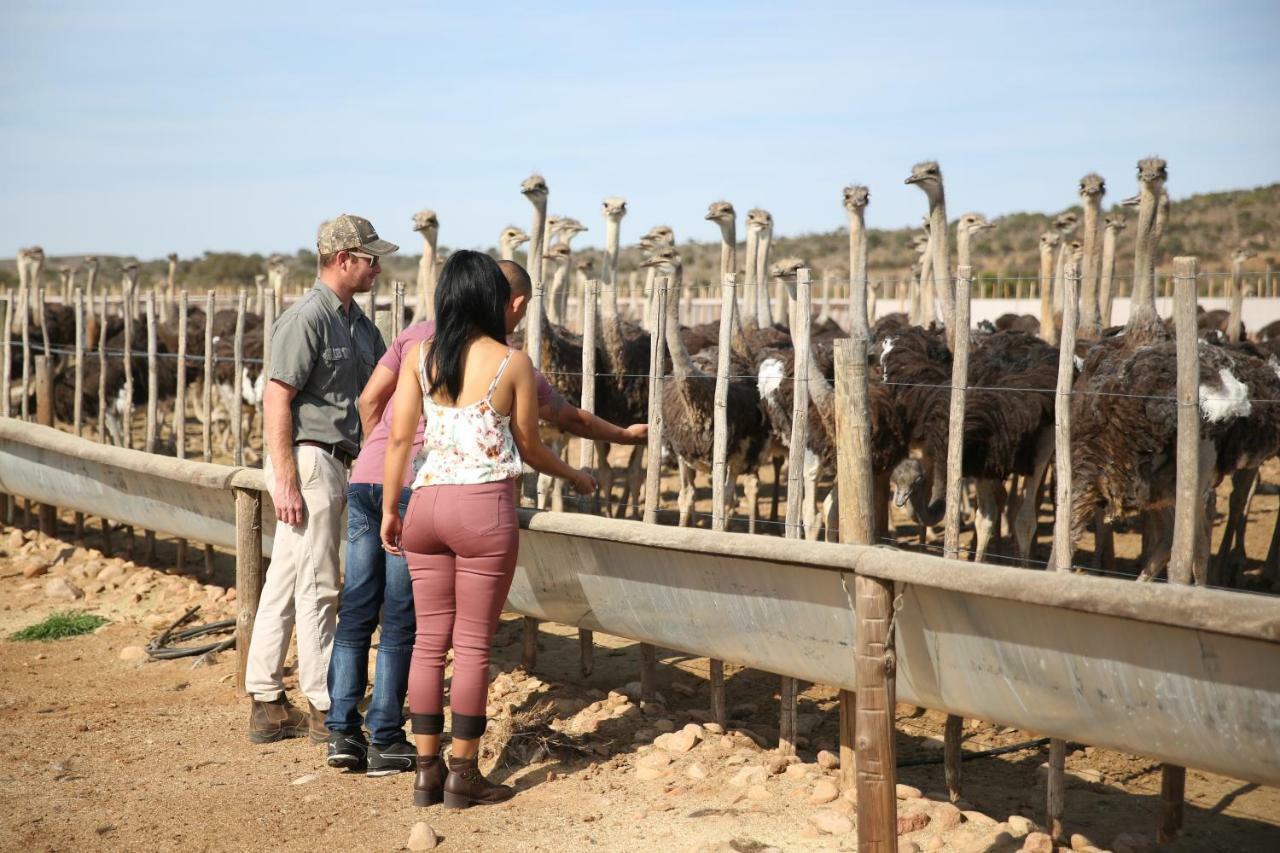 De Opstal Country Lodge Oudtshoorn Ngoại thất bức ảnh