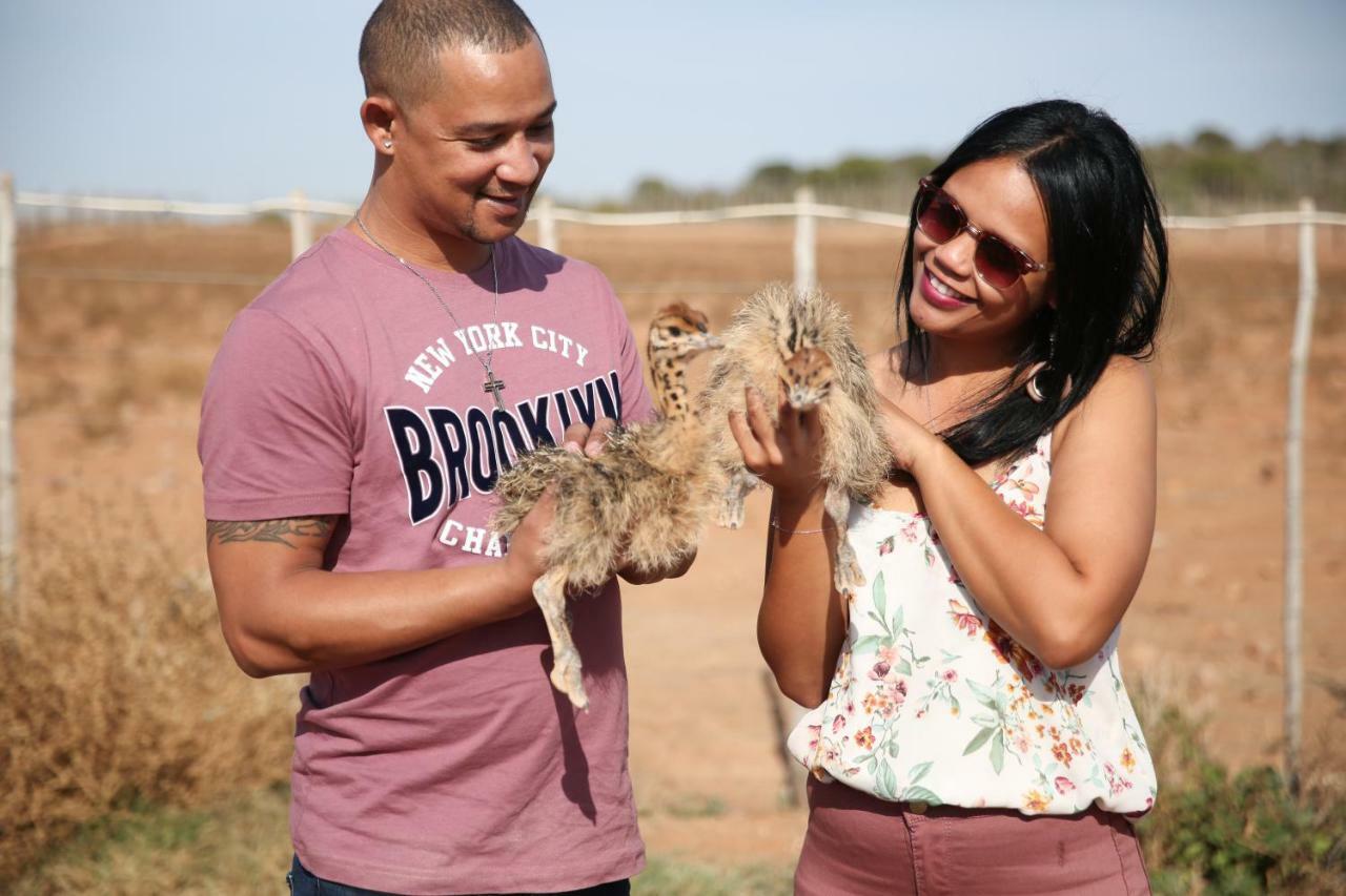 De Opstal Country Lodge Oudtshoorn Ngoại thất bức ảnh
